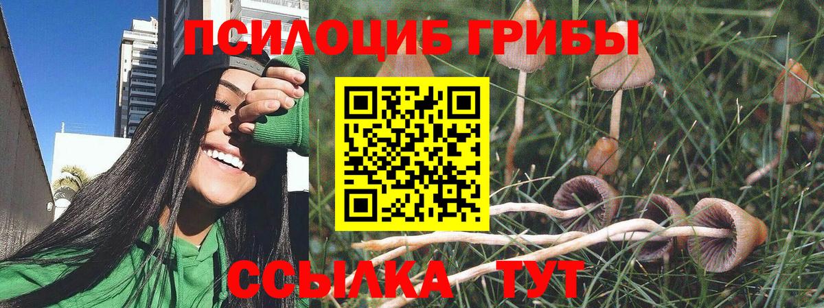 Тайшет  Галлюциногенные грибы прущие грибы  Псилоцибиновые грибы мухоморы  Вход с VPN 